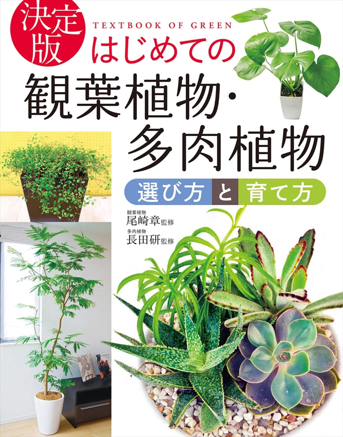 決定版 はじめての観葉植物・多肉植物選び方と育て方