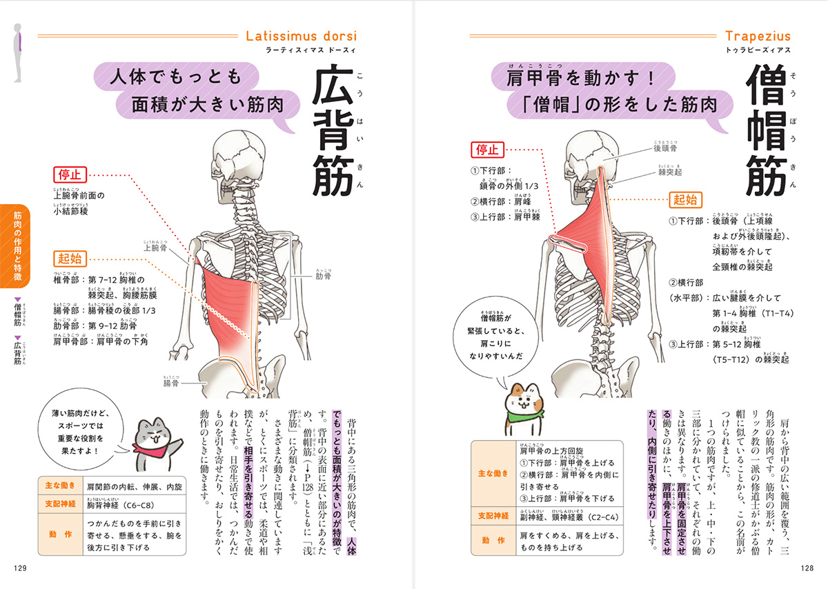 一生役立つ きちんとわかる解剖学 筋肉・骨・からだのしくみ｜西東社