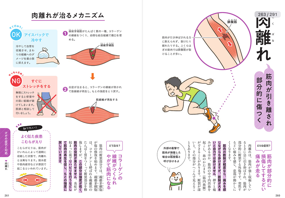 一生役立つ きちんとわかる解剖学 筋肉・骨・からだのしくみ｜西東社