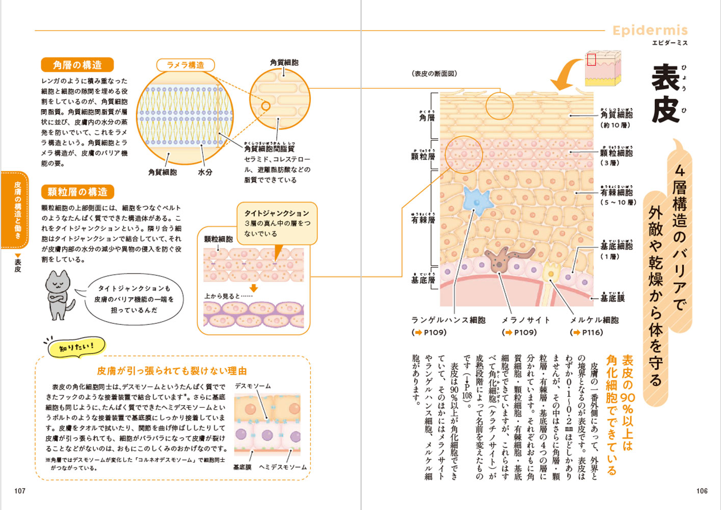 一生役立つ きちんとわかる皮膚科学 しくみ・トラブル・スキンケア