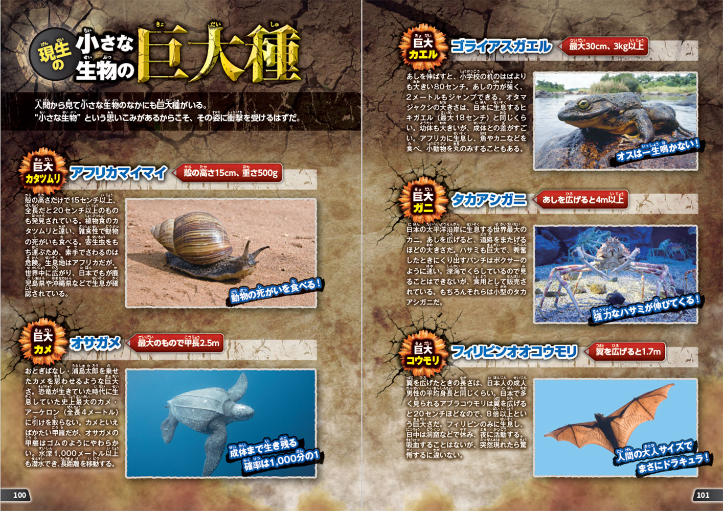 頂上決戦！ 超巨大生物 最強王決定戦｜西東社｜『人生を楽しみ・今を