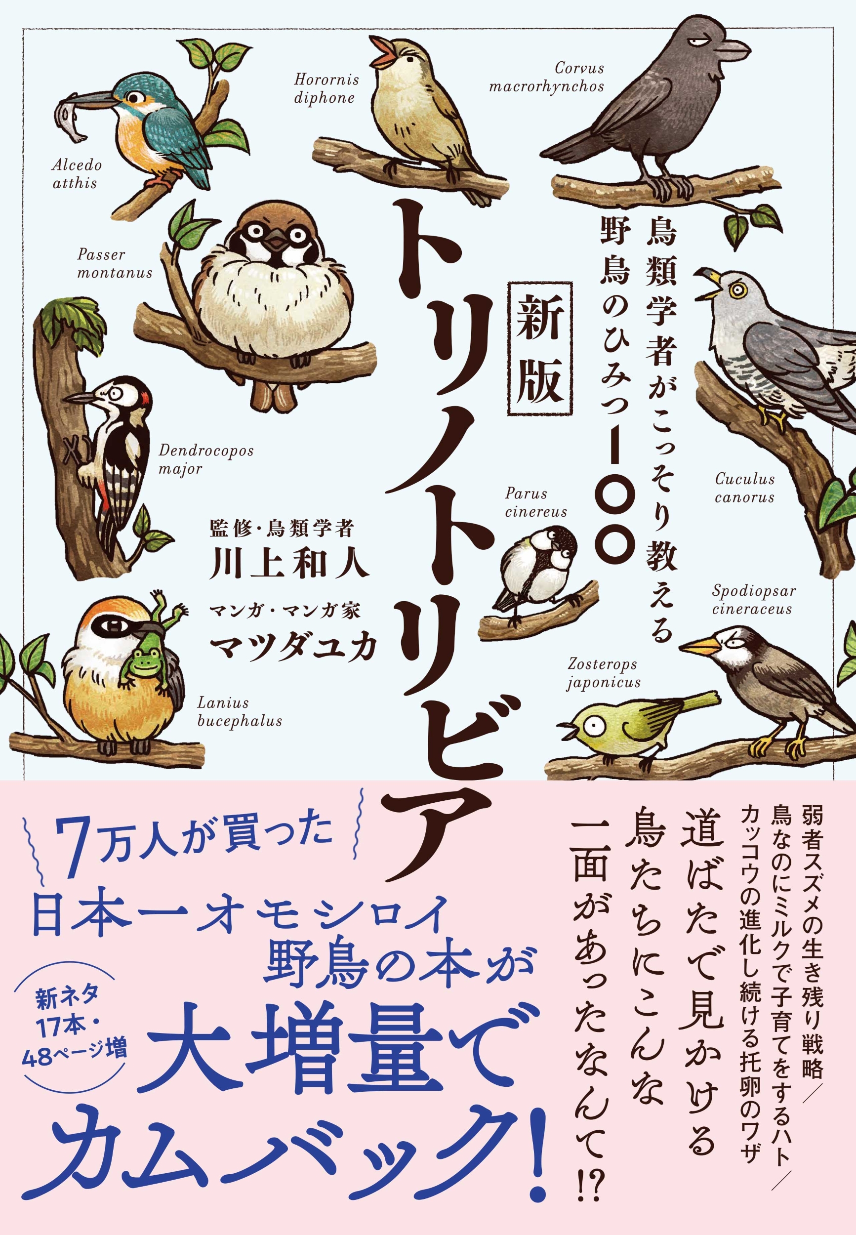 新版トリノトリビア 鳥類学者がこっそり教える野鳥のひみつ100